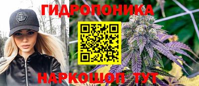 PSILOCYBIN Новокубанск