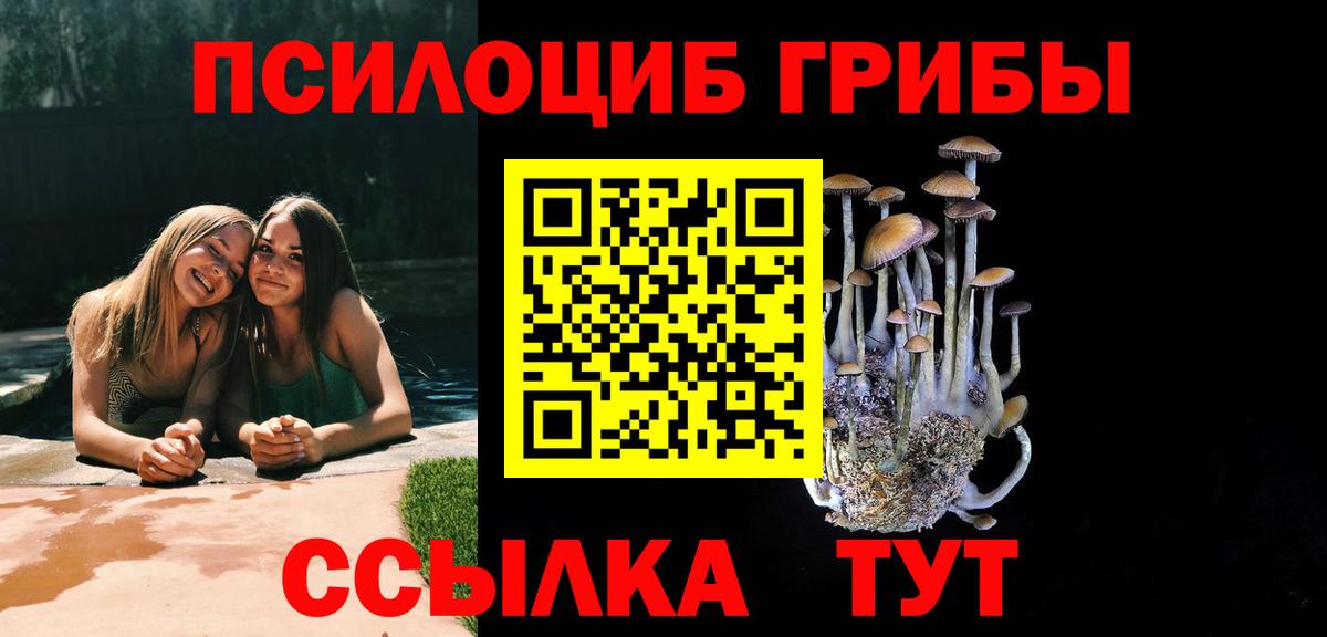 Северск  Псилоцибиновые грибы мухоморы  Вход с VPN 